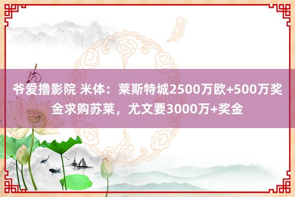 爷爱撸影院 米体：莱斯特城2500万欧+500万奖金求购苏莱，尤文要3000万+奖金