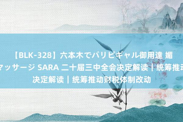 【BLK-328】六本木でパリピギャル御用達 媚薬悶絶オイルマッサージ SARA 二十届三中全会决定解读｜统筹推动财税体制改动