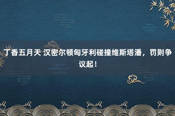 丁香五月天 汉密尔顿匈牙利碰撞维斯塔潘，罚则争议起！