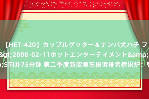 【HET-420】カップルゲッター＆ナンパ犬ハチ ファイト一発</a>2008-02-11ホットエンターテイメント&$向井75分钟 第二季度新能源车投诉排名榜出炉：智己L6排第一，小米SU7排第二