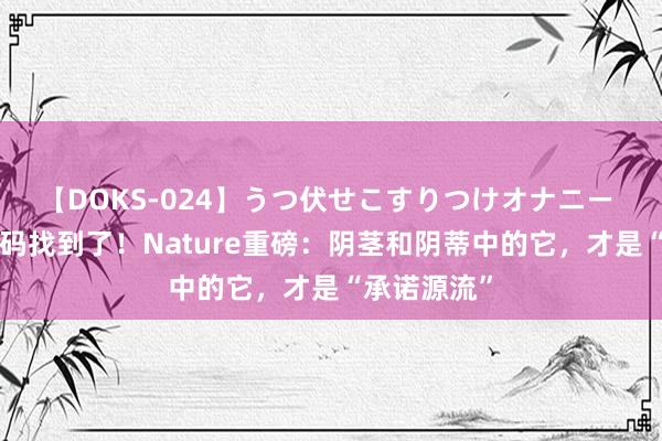 【DOKS-024】うつ伏せこすりつけオナニー “性福”密码找到了！Nature重磅：阴茎和阴蒂中的它，才是“承诺源流”