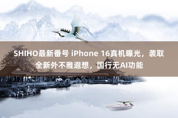 SHIHO最新番号 iPhone 16真机曝光，袭取全新外不雅遐想，国行无AI功能