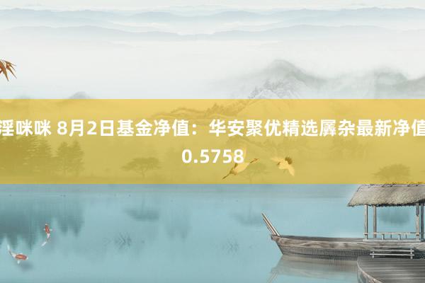 淫咪咪 8月2日基金净值：华安聚优精选羼杂最新净值0.5758