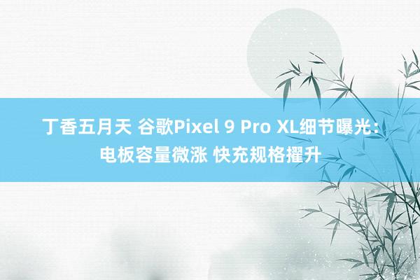 丁香五月天 谷歌Pixel 9 Pro XL细节曝光：电板容量微涨 快充规格擢升