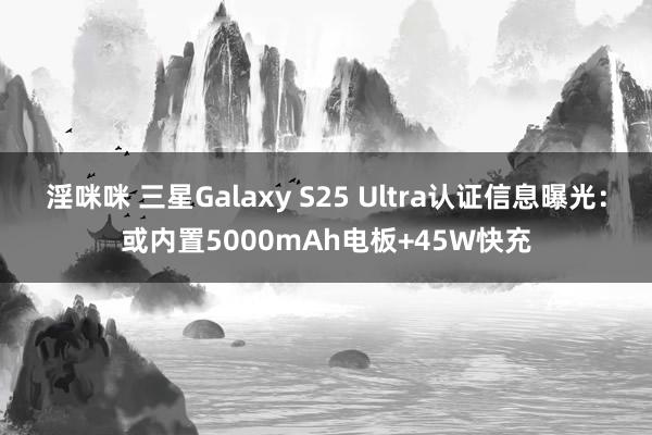 淫咪咪 三星Galaxy S25 Ultra认证信息曝光：或内置5000mAh电板+45W快充