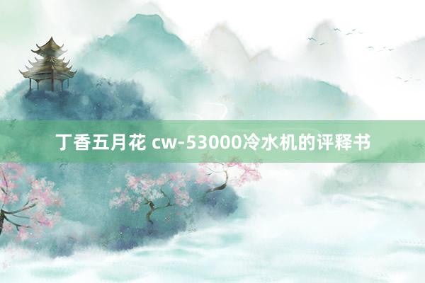 丁香五月花 cw-53000冷水机的评释书