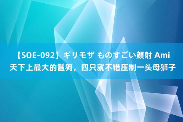 【SOE-092】ギリモザ ものすごい顔射 Ami 天下上最大的鬣狗，四只就不错压制一头母狮子