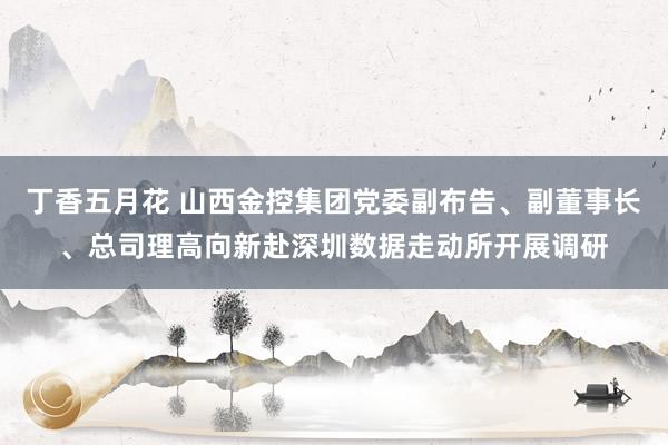 丁香五月花 山西金控集团党委副布告、副董事长、总司理高向新赴深圳数据走动所开展调研