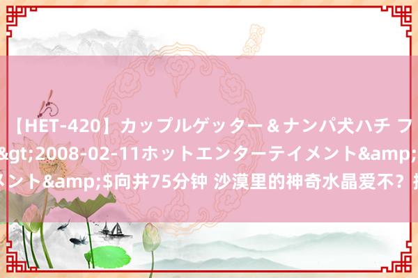 【HET-420】カップルゲッター＆ナンパ犬ハチ ファイト一発</a>2008-02-11ホットエンターテイメント&$向井75分钟 沙漠里的神奇水晶爱不？捡玛瑙奇石的好所在