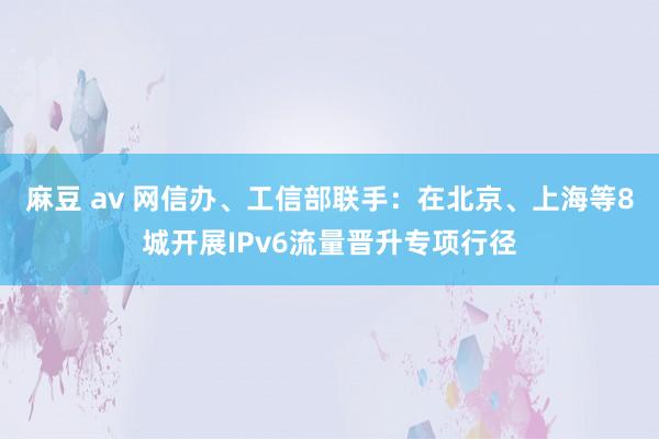 麻豆 av 网信办、工信部联手：在北京、上海等8城开展IPv6流量晋升专项行径