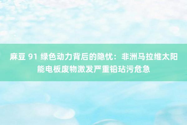 麻豆 91 绿色动力背后的隐忧：非洲马拉维太阳能电板废物激发严重铅玷污危急