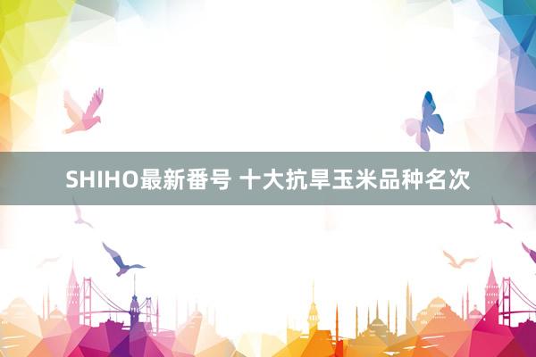 SHIHO最新番号 十大抗旱玉米品种名次