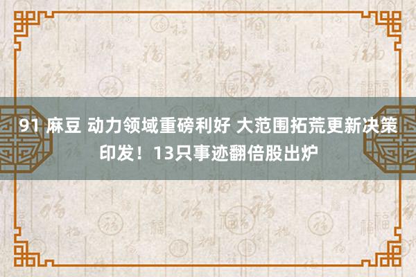 91 麻豆 动力领域重磅利好 大范围拓荒更新决策印发！13只事迹翻倍股出炉