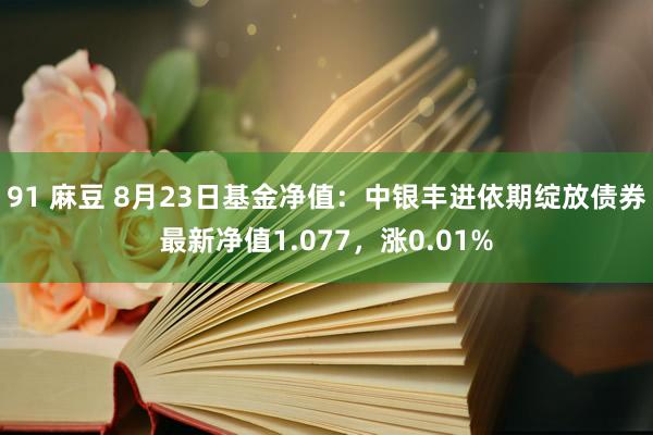 91 麻豆 8月23日基金净值：中银丰进依期绽放债券最新净值1.077，涨0.01%