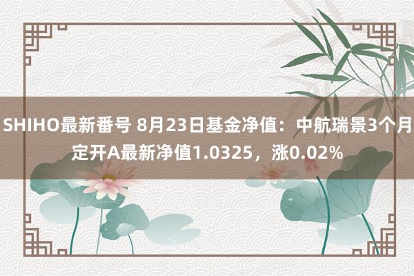 SHIHO最新番号 8月23日基金净值：中航瑞景3个月定开A最新净值1.0325，涨0.02%