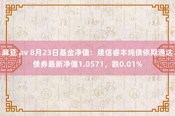 麻豆 av 8月23日基金净值：建信睿丰纯债依期通达债券最新净值1.0571，跌0.01%