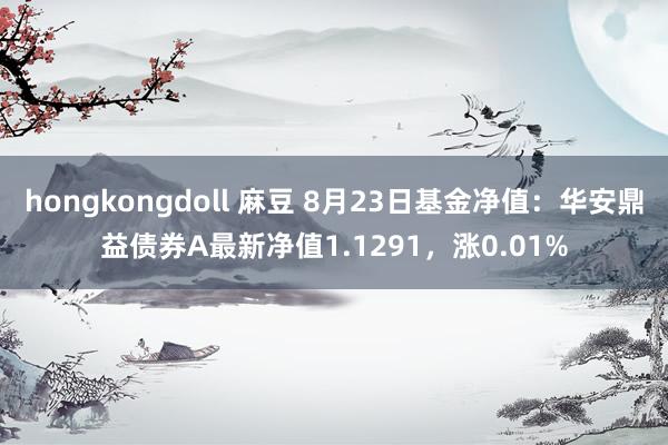 hongkongdoll 麻豆 8月23日基金净值：华安鼎益债券A最新净值1.1291，涨0.01%