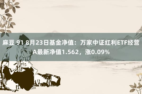 麻豆 91 8月23日基金净值：万家中证红利ETF经营A最新净值1.562，涨0.09%