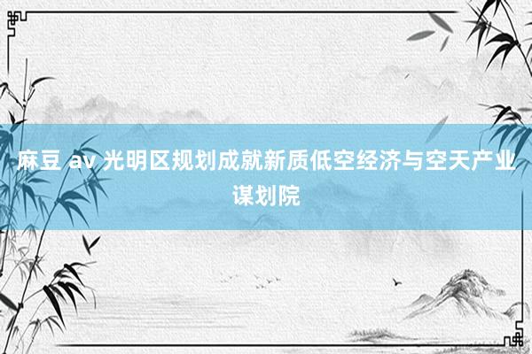 麻豆 av 光明区规划成就新质低空经济与空天产业谋划院