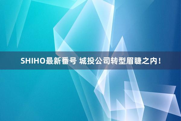 SHIHO最新番号 城投公司转型眉睫之内！