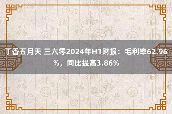 丁香五月天 三六零2024年H1财报：毛利率62.96%，同比提高3.86%