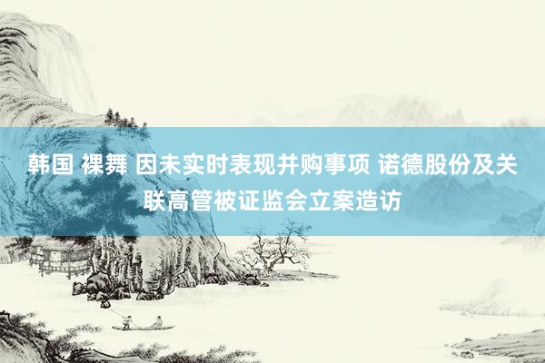 韩国 裸舞 因未实时表现并购事项 诺德股份及关联高管被证监会立案造访