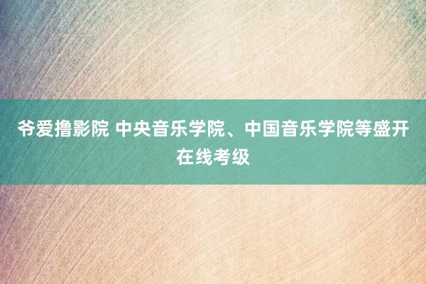 爷爱撸影院 中央音乐学院、中国音乐学院等盛开在线考级