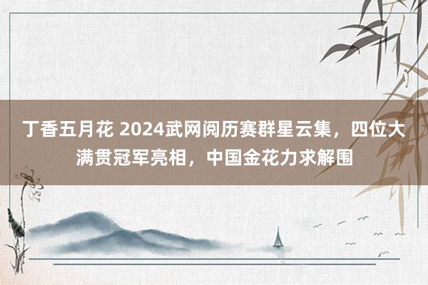 丁香五月花 2024武网阅历赛群星云集，四位大满贯冠军亮相，中国金花力求解围