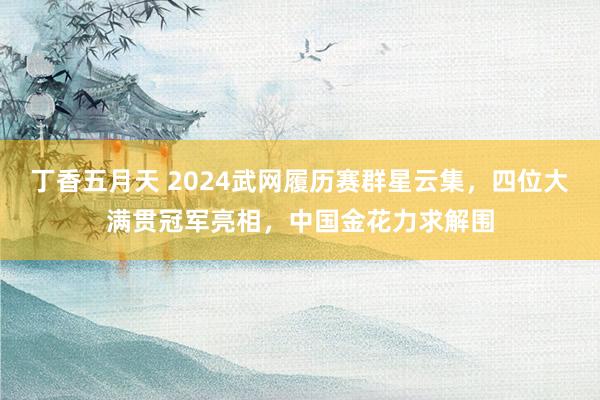 丁香五月天 2024武网履历赛群星云集，四位大满贯冠军亮相，中国金花力求解围