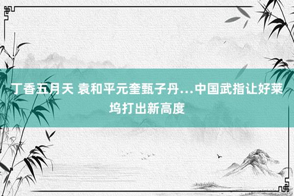 丁香五月天 袁和平元奎甄子丹…中国武指让好莱坞打出新高度